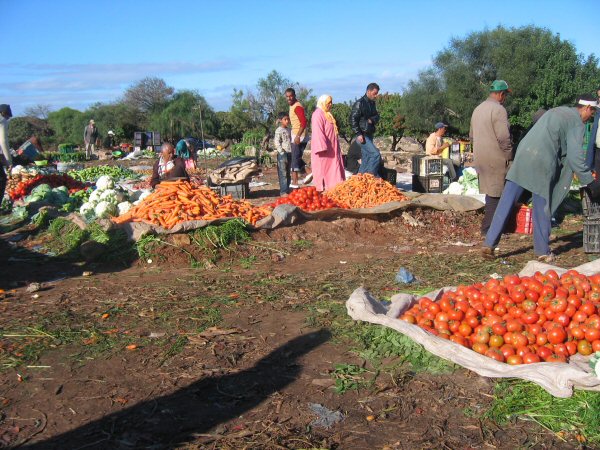 Markt in Dar Bouazza