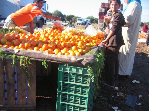 Markt in Dar Bouazza
