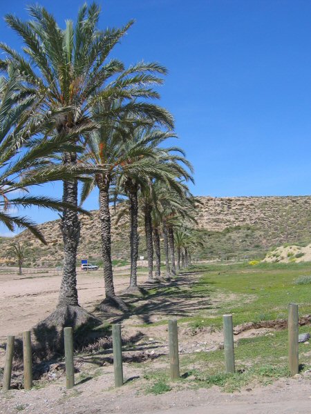 Cañada de Gallego