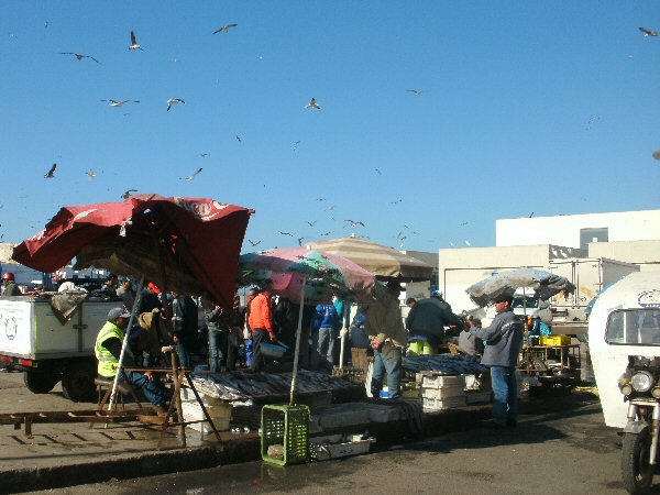 Dagelijkse vismarkt op de haven
