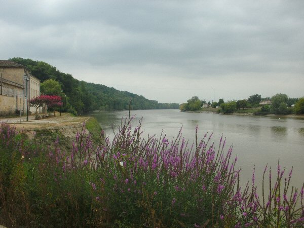 Aan de Dordogne in Branne