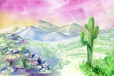 Landscape with cacti