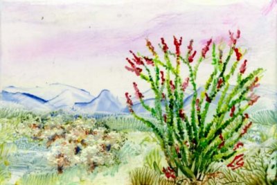 Landschap mat cactus