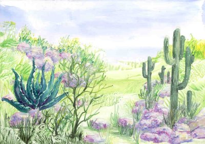 Landschap met cactus