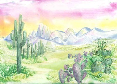 Landscape with cacti