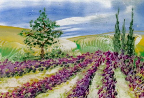 Lavender in the Provence