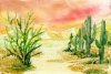 Landschap met cactussen